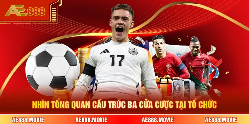 Nhìn tổng quan cấu trúc ba cửa cược tại tổ chức